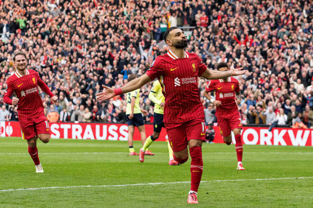 来逐渐走红 来逐渐走红