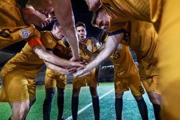 情捍卫球队 情捍卫球队